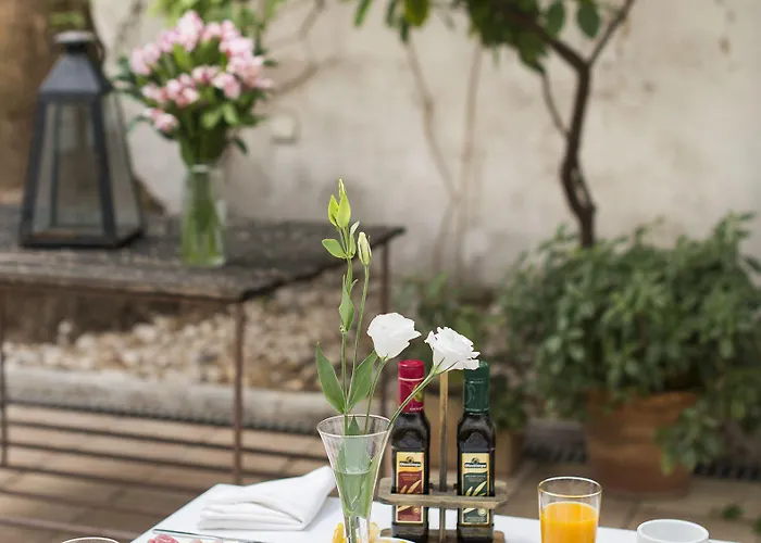 Hôtel accueillant les animaux: Hotel Alcantara