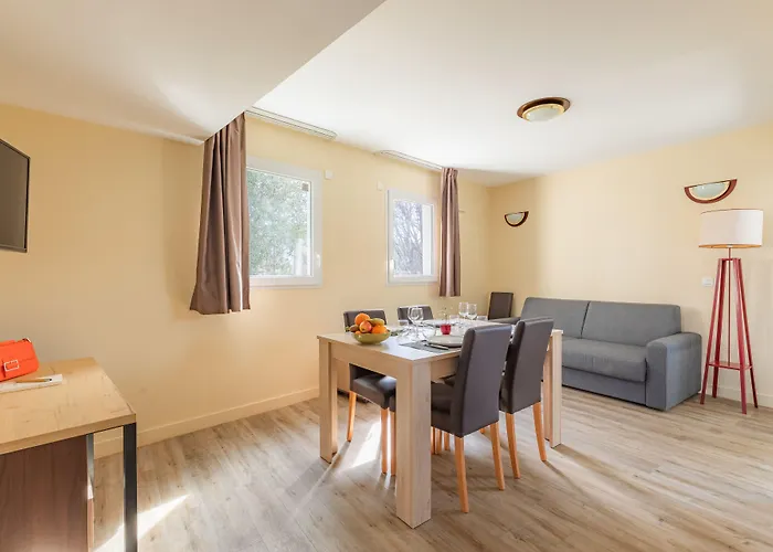 Hôtel accueillant les animaux: Appart'City Classic Nice Acropolis