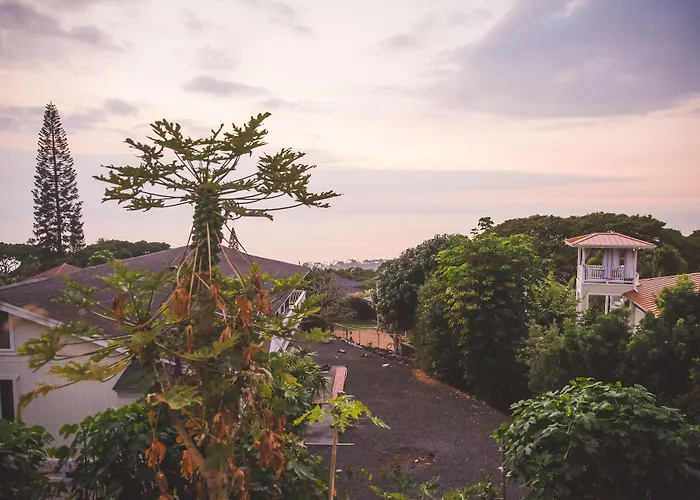 Kona Hawaii Guest House A Unique Hawaii Experience