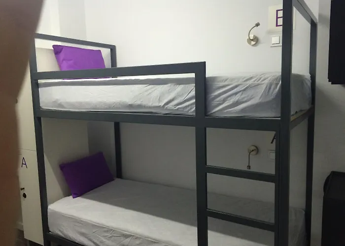 Albergue: Chameleon Youth Hostel Alicante