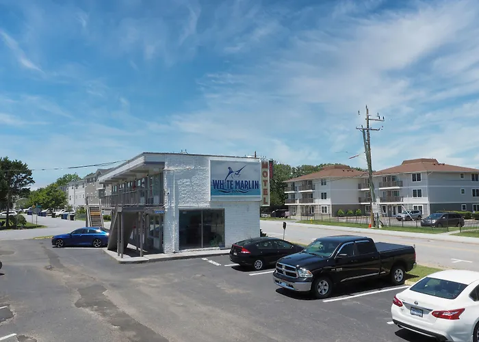 Motel: White Marlin Inn - Virginia Beach