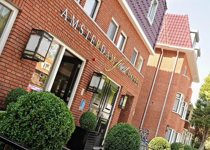 Amsterdam Forest