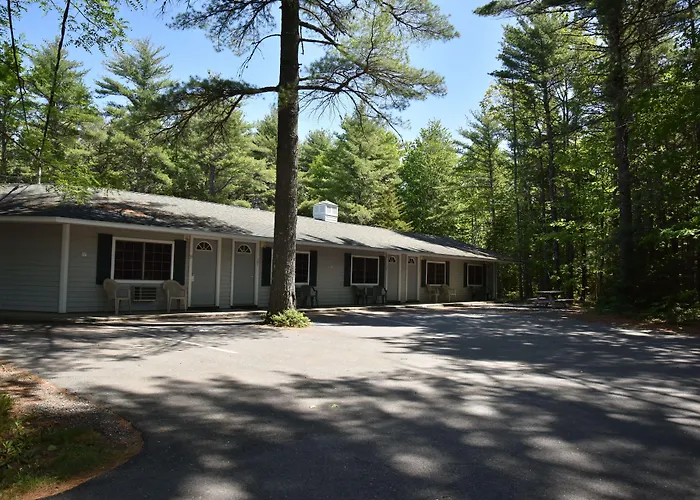 Acadia Pines