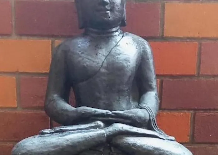  Zen Moon