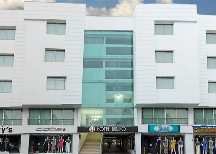 Hotel Andino