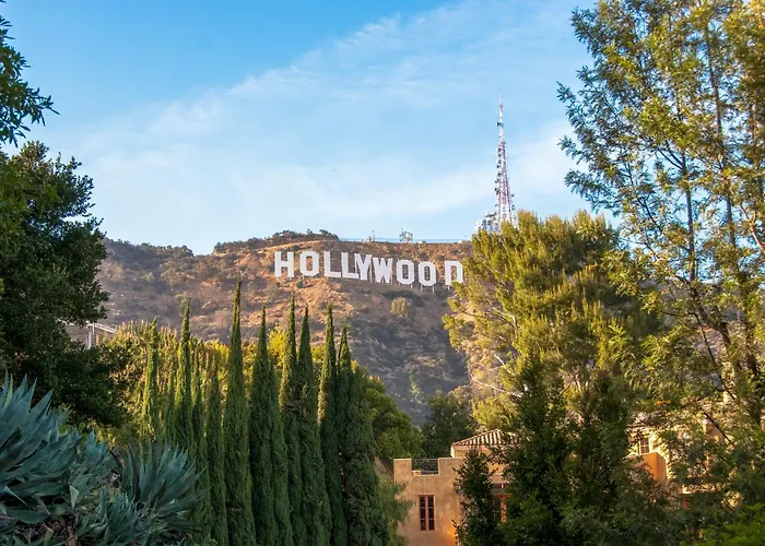Pet Friendly hotel: The Hotel Hollywood