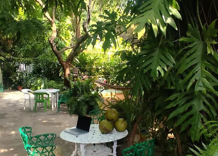 420 Jungle Palace Hostal Santaella