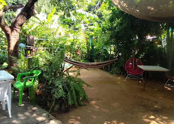 420 Jungle Palace Hostal Santaella