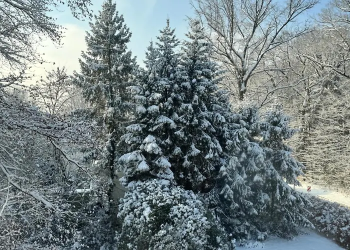 Wald-
