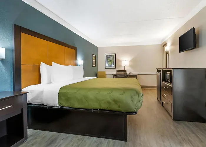 Motel: Quality Inn & Suites North Charleston - Ashley Phosphate