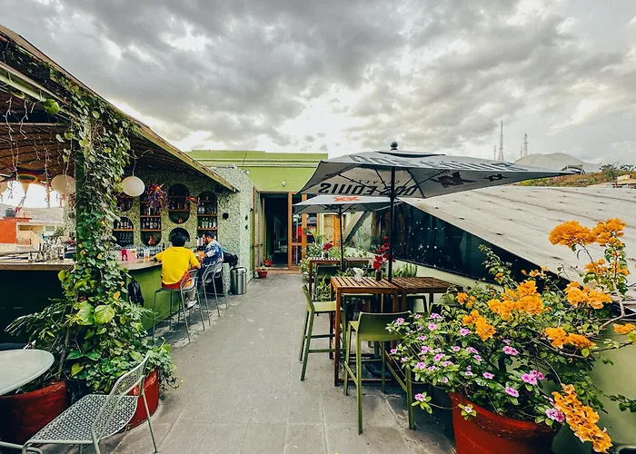 Viajero Oaxaca