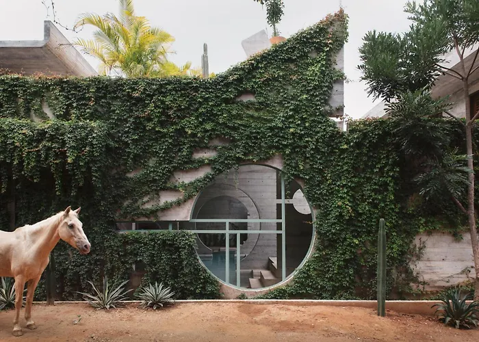 Casa To - Adults Only