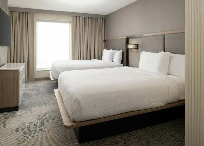 Cheap hotels Springhill Suites By Marriott New Orleans Warehouse Arts District