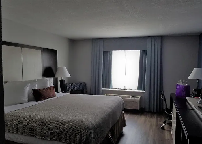 Wyndham Garden Hotel - Jacksonville