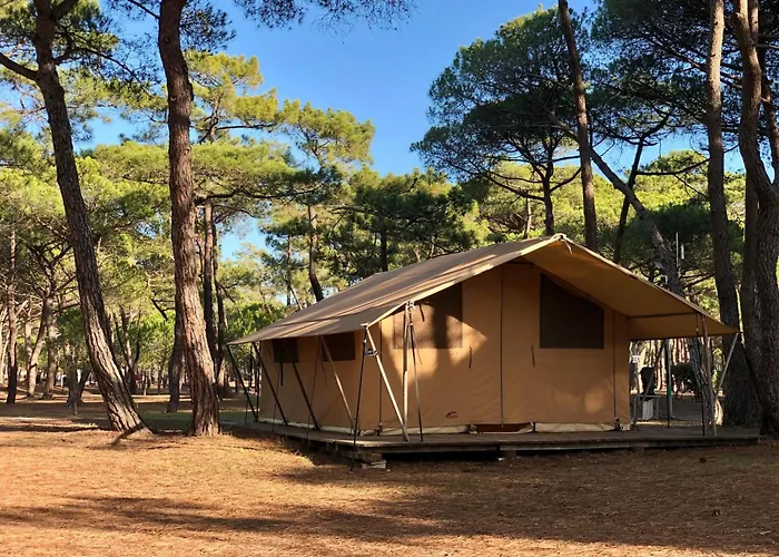 Camping La Tamarissiere