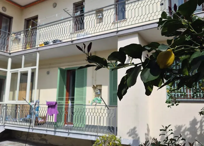 Oasi Di