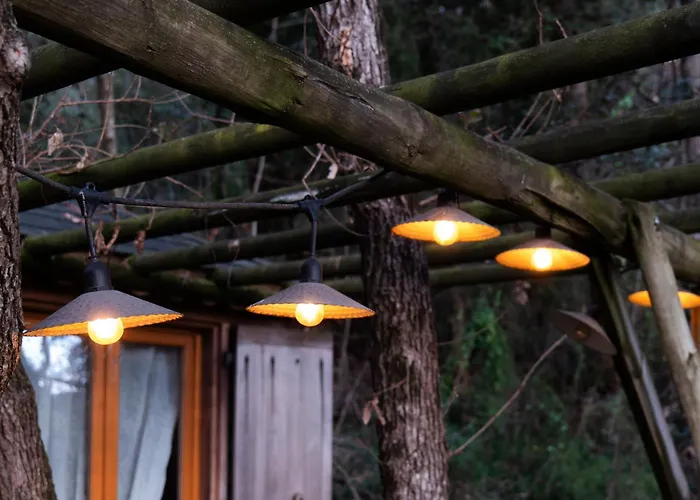 Orion Treehouses