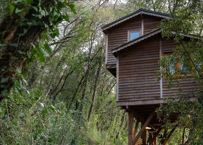 Orion Treehouses