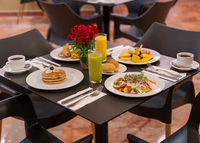 Family Hotel: Oasis Palm