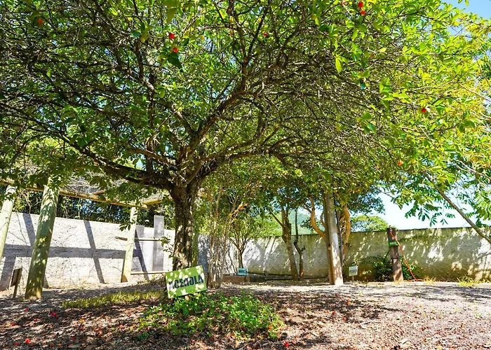 Brasil
