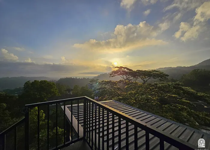  Golden Sky & Wellness