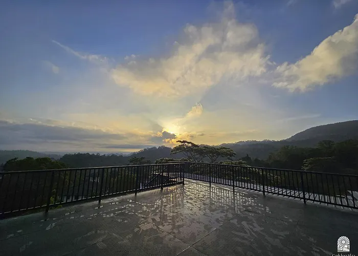  Golden Sky & Wellness
