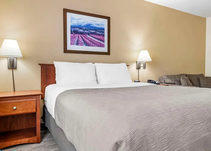 Quality Inn Airport