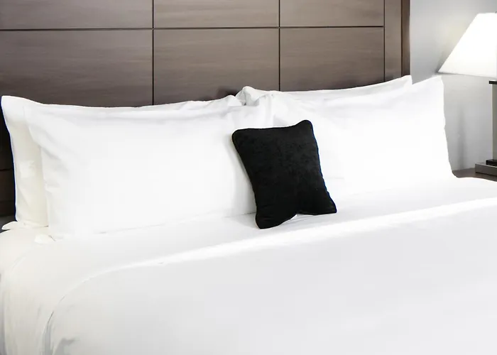 Ramada By Wyndham Houston Intercontinental Airport South