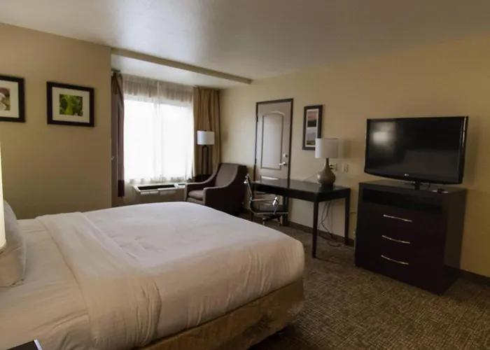Comfort Inn & Suites San Bernardino