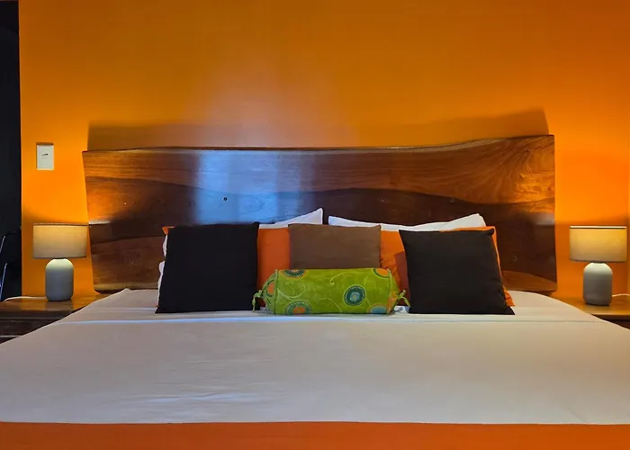 Hotel La Palapa