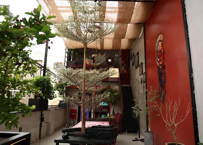 T Zone Hostel - Quiet Place, Near China Town,Ho Thi Ky Street Food,Cafe,Beer