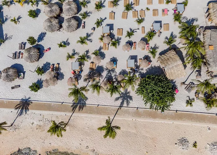 Chogogo Dive & Beach Bonaire