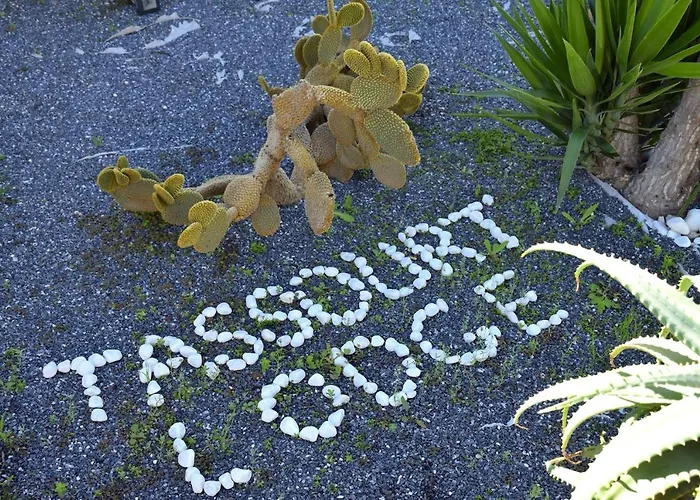 Tassourt Lodge