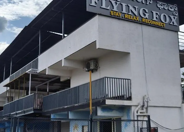 Flying Fox