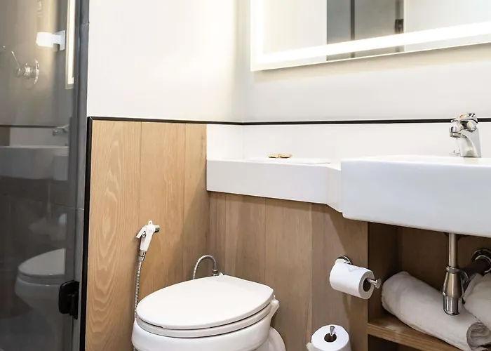 Ibis Paulista