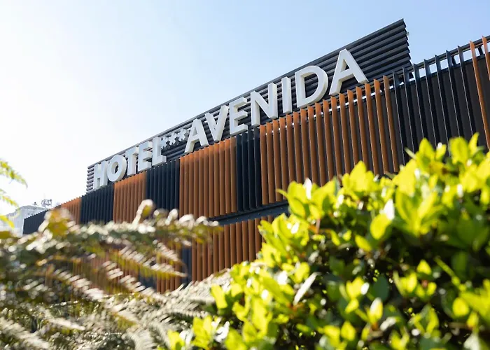  Avenida