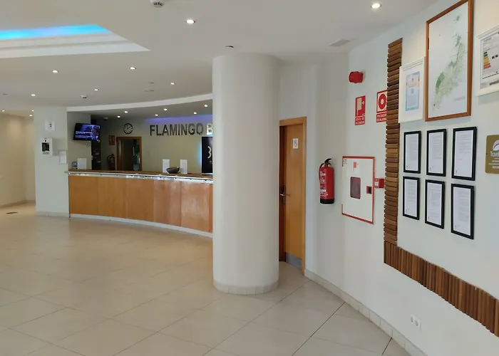 Grupotel Flamingo Beach