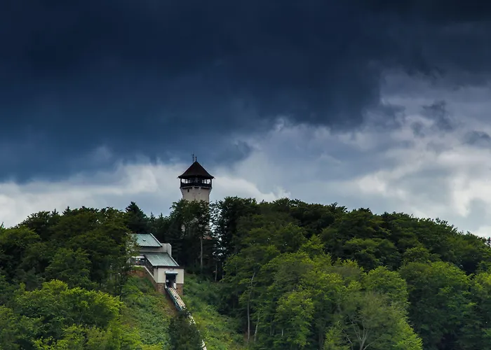 Olympia Wellness
