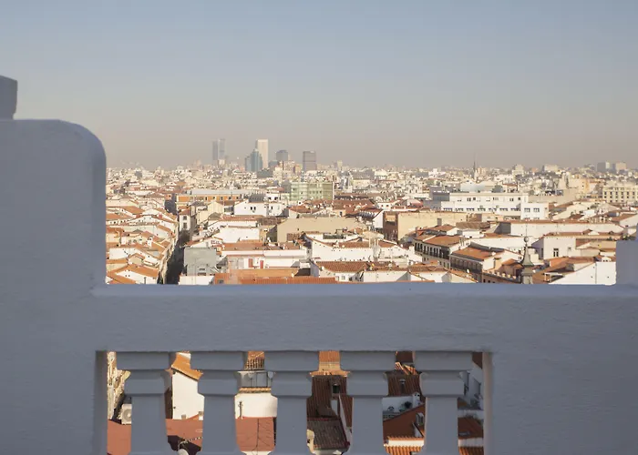 Perros hoteles Petit Palace Triball
