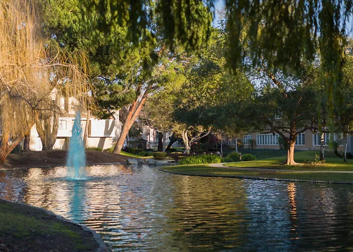 Pets Allowed Hotel Residence Inn Sunnyvale Silicon Valley I