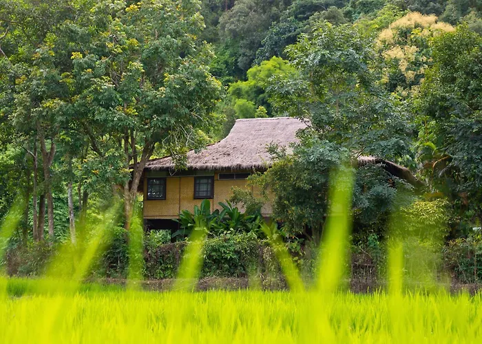  Hmong Hilltribe