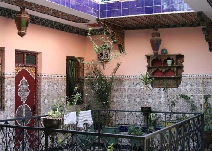 Hôtel accueillant les animaux: Hotel Aday