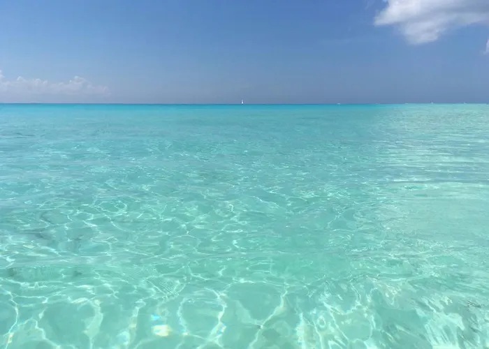 B&B only: B&B Villa Hibiscus