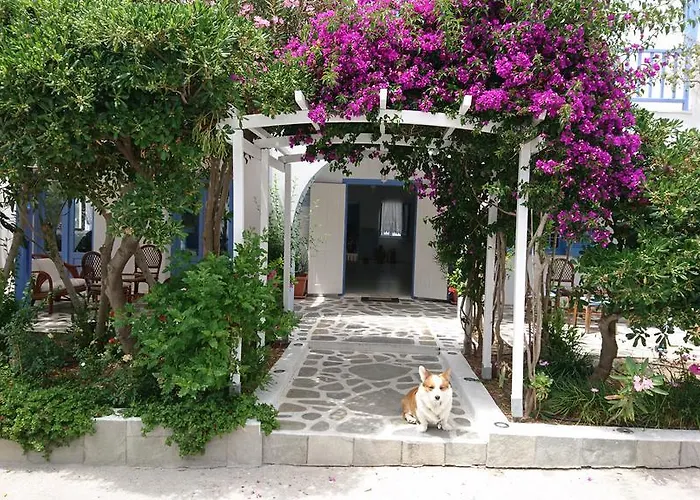 Pet Friendly hotel: Panorama Paros