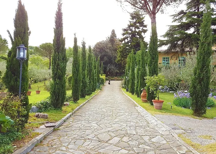 Ulivi Di Castello