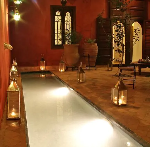 Hôtel accueillant les animaux: Riad Honey