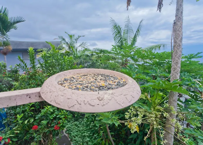 Kona Hawaii Guest House A Unique Hawaii Experience