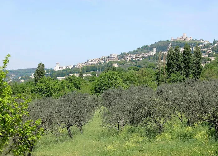 Poggio Fiorito