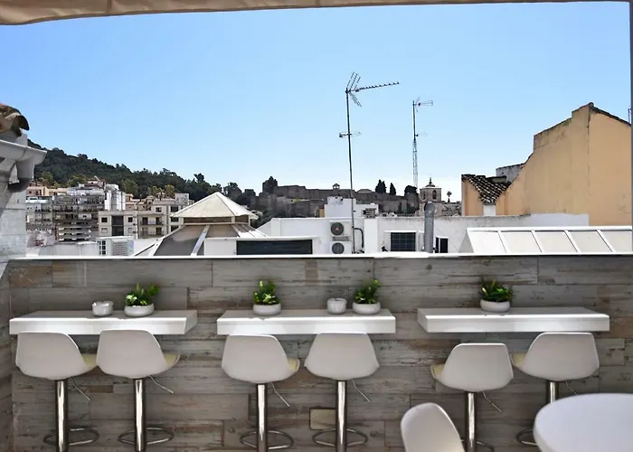 Perros hoteles Marques De La Merced