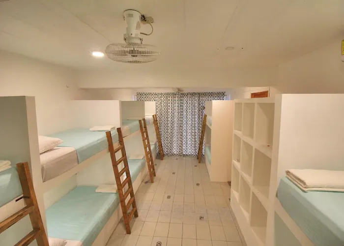 Paziflora Hostel -Starlink-